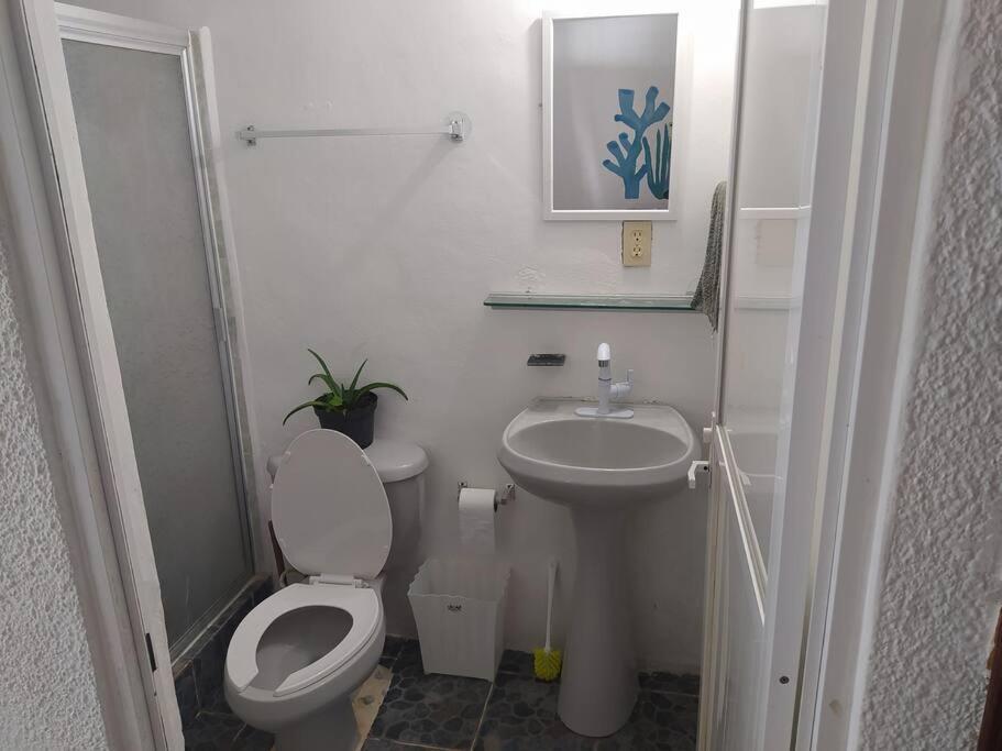 Arrecife Daire Cancún Dış mekan fotoğraf
